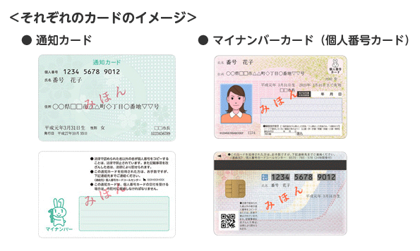 通知カードとマイナンバーカードのイメージ